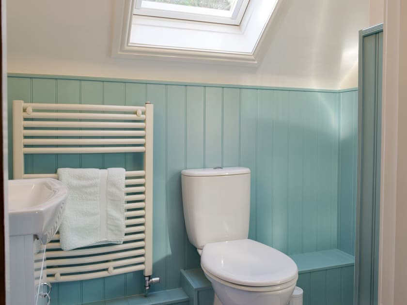 Shower room with heated towel rail | Yr Efail Argoed, Llanddowror, near Laugharne