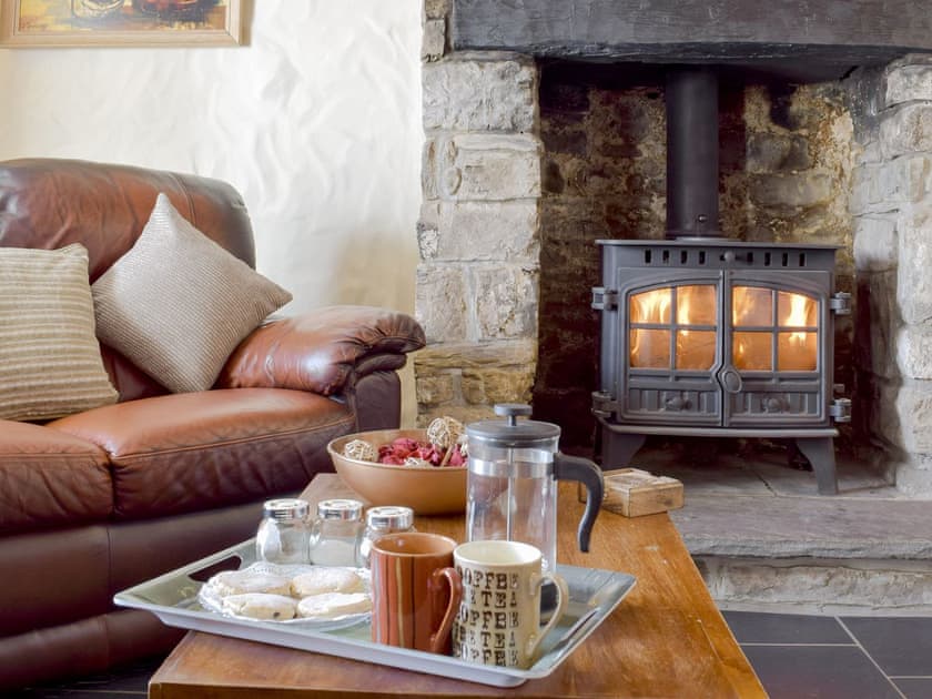 Cosy wood burner | Bryntowy - Tanylan Farm Cottages, Kidwelly