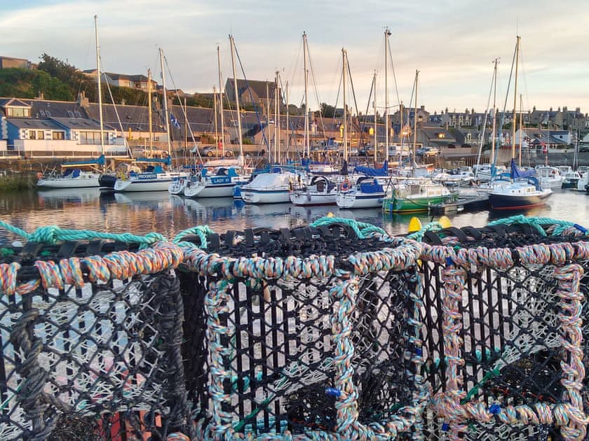 Harbour | Salty Dog, Findochty, near Buckie