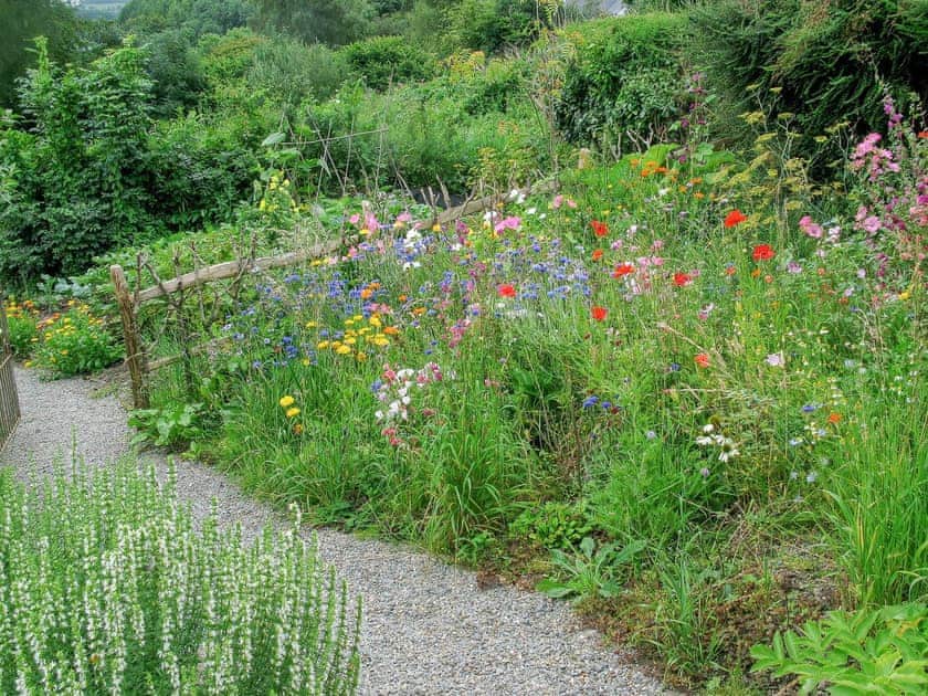 Garden planted with wild flowers in a naturalistic style | 2 Penrhiw, Abercych, near Newcastle Emlyn