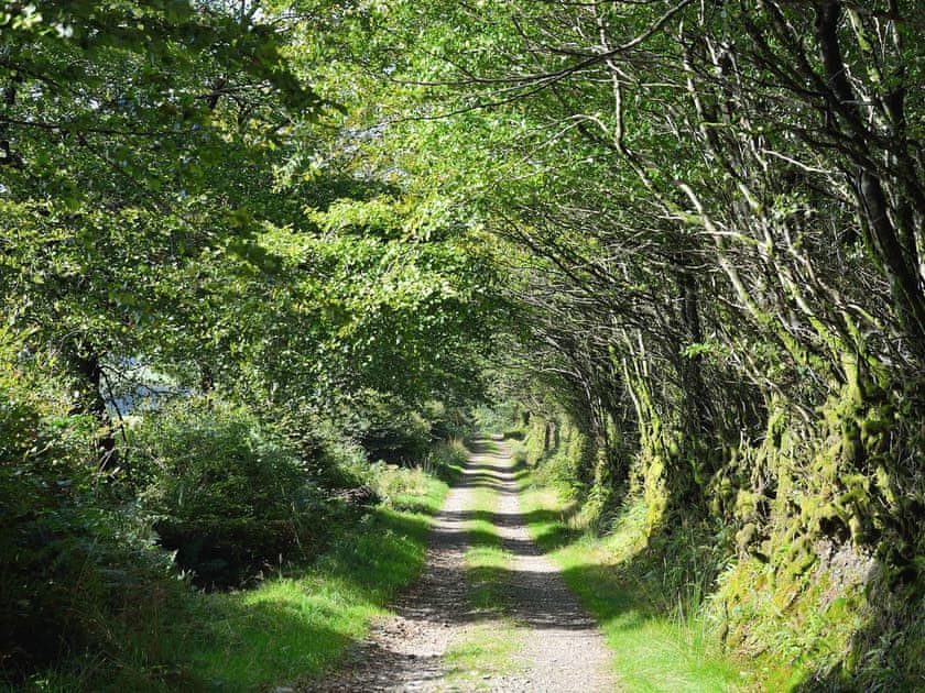 Picturesque country walks | Combe View - Lower North Radworthy Cottages, Heasley Mill, near South Molton