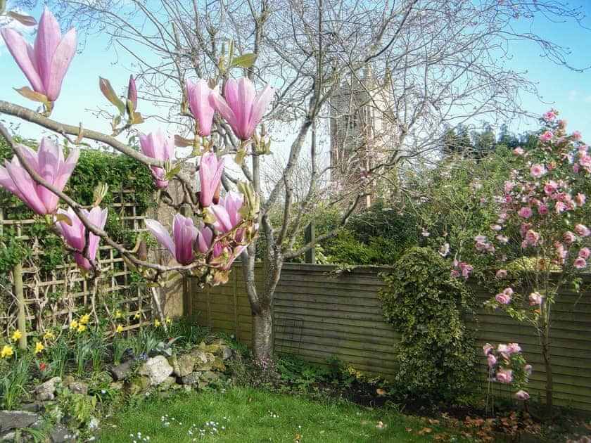 Delightful garden with lovely view | Blackberry Cottage, Kenton, near Exeter