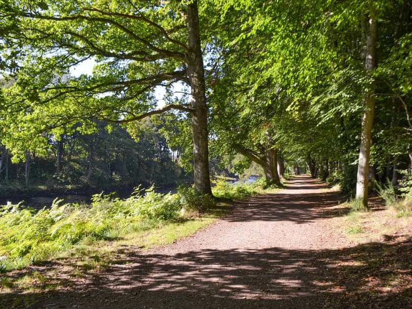 Lady Mary’s Walk