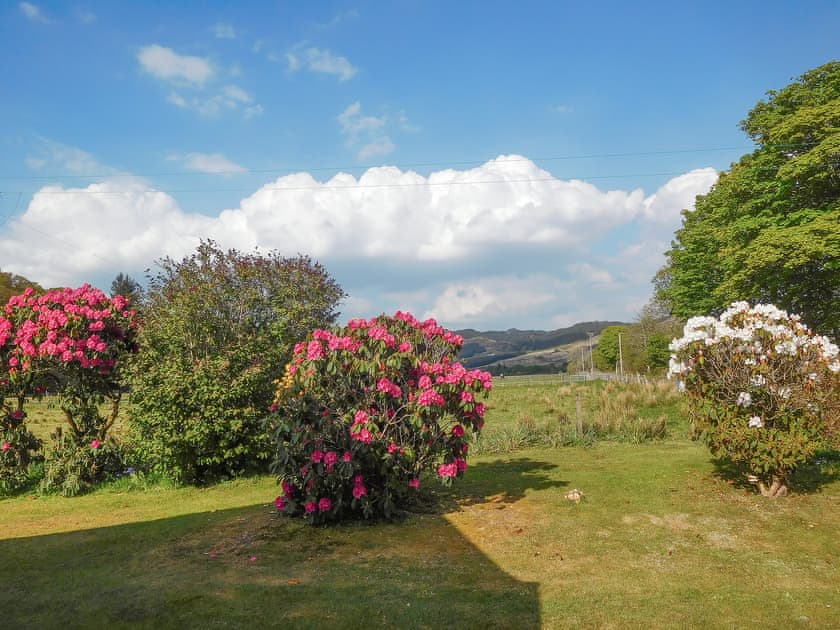 The garden is well planted with mature shrubs and is a huge area for couples, families and children to play or relax | Kirnan Cottage, Kilmichael Glassary, near Lochgilphead