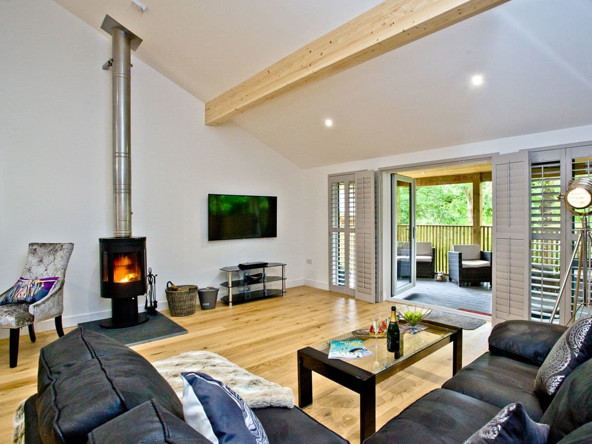 Cedar Lodge - Holiday Lodge in South West England - Image 2