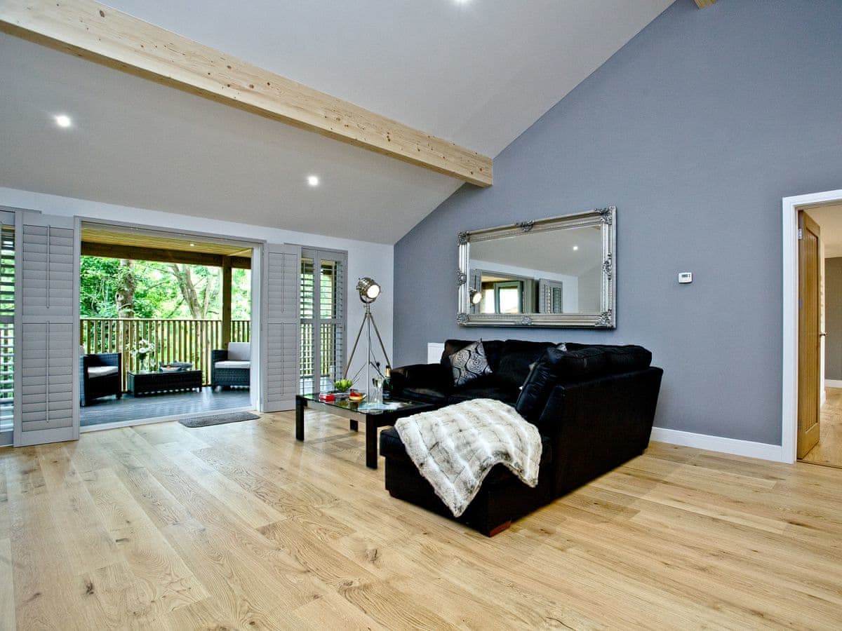 Cedar Lodge - Holiday Lodge in South West England - Image 5