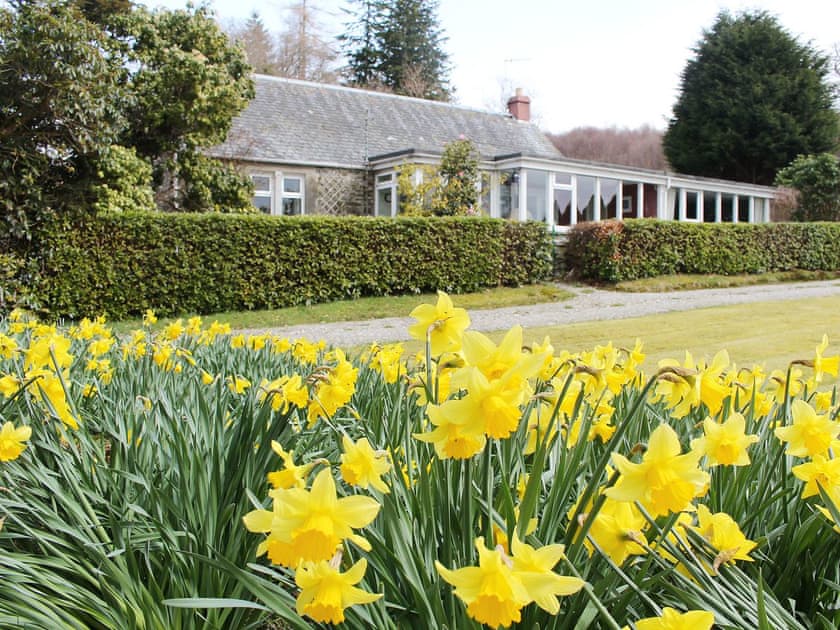 Beautiful Scottish loch side holiday home in the spring sunshine | Strathcashel Cottage, Rowardennan, near Balamaha