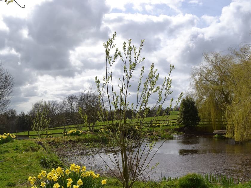 Pretty lakes and ponds in the grounds | Bugatti House, Bosbury, near Ledbury