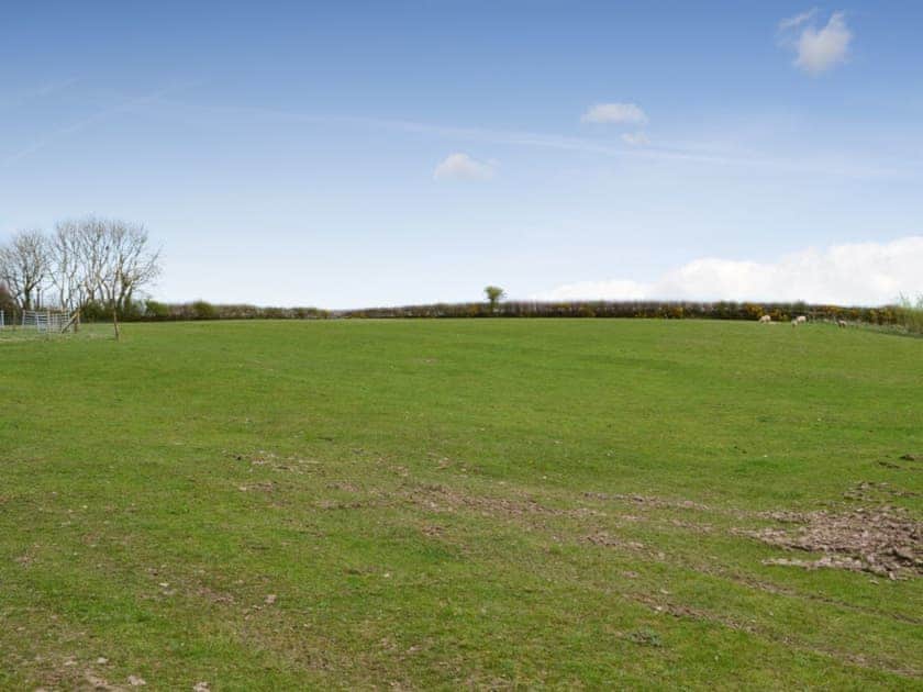 View | The Shippen - The Threshing Barn and The Shippen, Bucks Cross, near Bideford