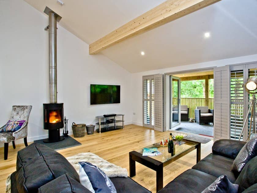 Living area | Cedar Lodge, South View Lodges - South View Lodges, Exeter
