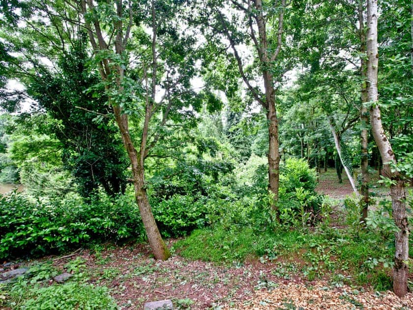 Surrounding area | Cedar Lodge - South View Lodges, Exeter