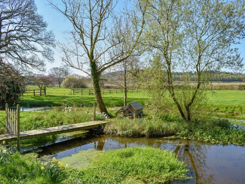 Picturesque garden and grounds with pond and stream | Mill Pond Cottage, Bere Regis