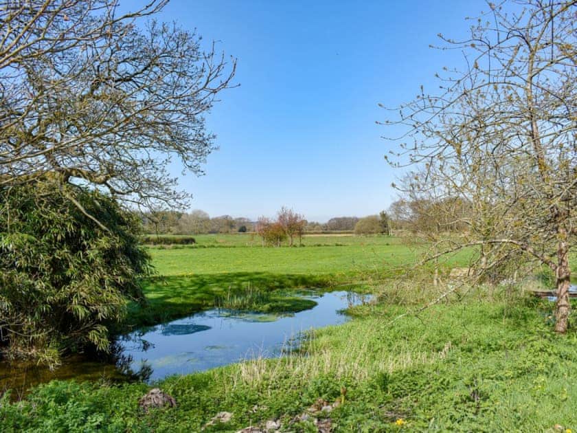 Picturesque garden and grounds with pond and stream | Mill Pond Cottage, Bere Regis
