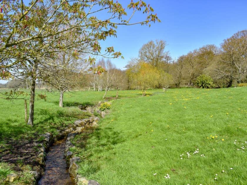 Picturesque garden and grounds with pond and stream | Mill Pond Cottage, Bere Regis
