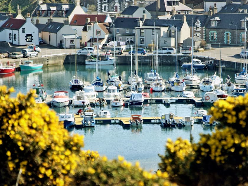 Great position overlooking the tranquil marina | Salty Dog, Findochty, near Buckie