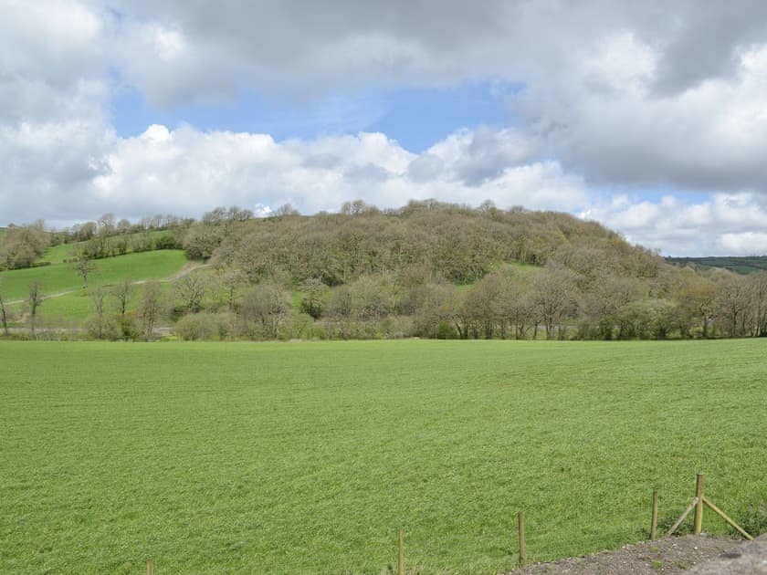 View | Upper Mill Barn - Pantgwyn Farm Cottages, White Mill, near Carmarthen