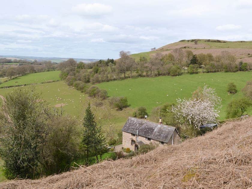 Idyllic rural location | Titchbourne Cottage, Clee St Margaret, near Ludlow