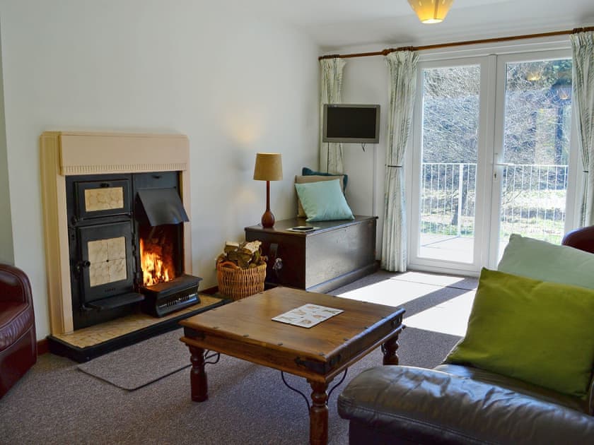 Bright and airy living room with open fire | Luckenburn, Upper Hindhope near Jedburgh