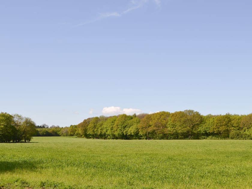 View | The Chicken Shed - Dynes Farm, Bilsington, near Ashford