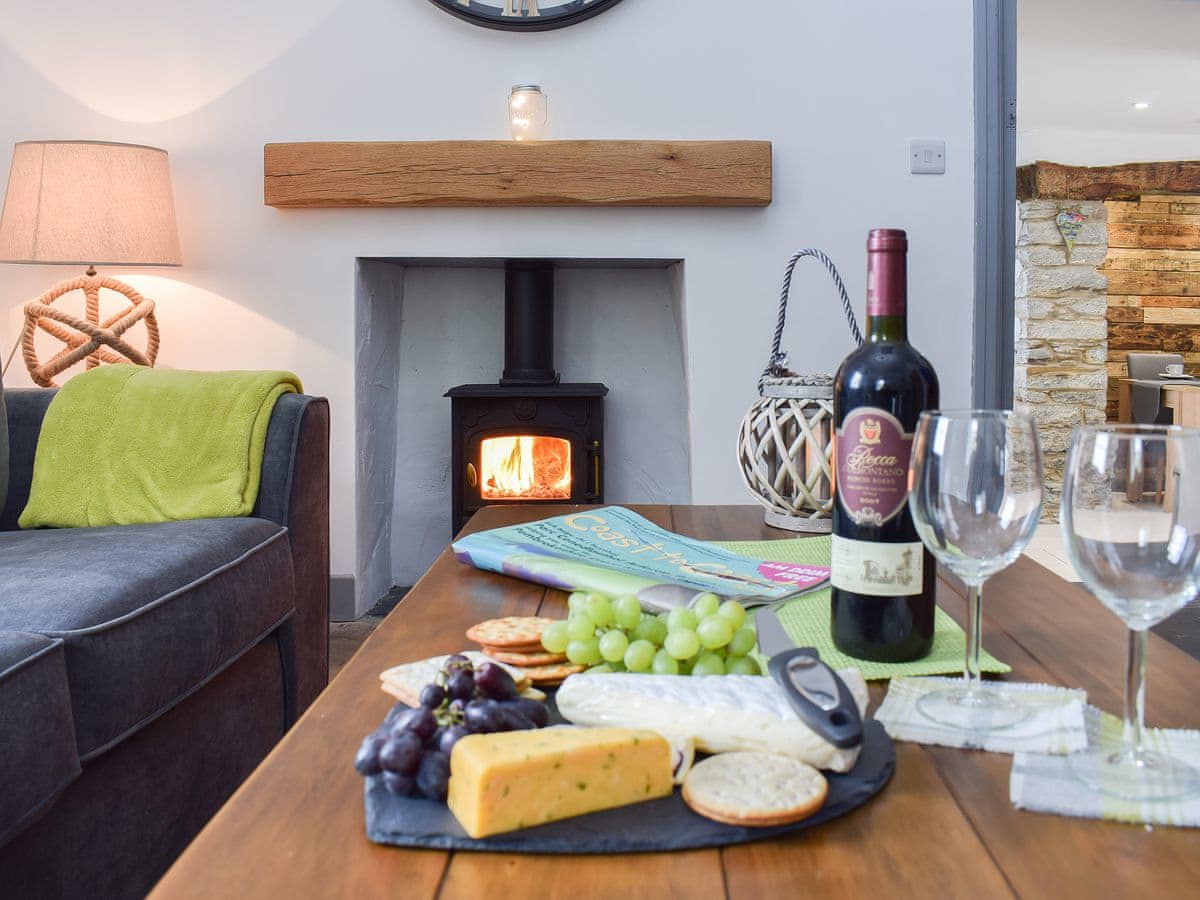 Cilwendeg Lodge - Holiday lodge in South Wales - Image 4