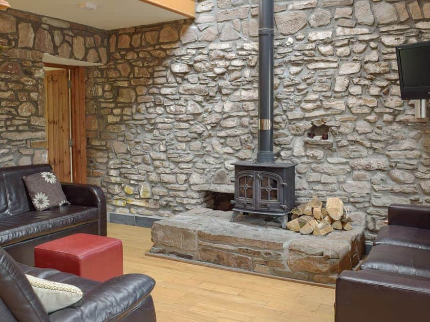 Cosy wood burner in the living room | Pentre Cottage - Three Rivers Farm Cottages, Ferryside