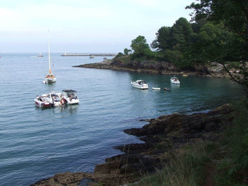 Surrounding area | Avocet 1 - The Cove, Brixham