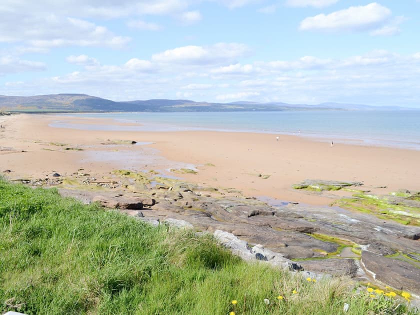 Wide sandy beach only 200 yards away | Oystercatcher, Embo, near Dornoch