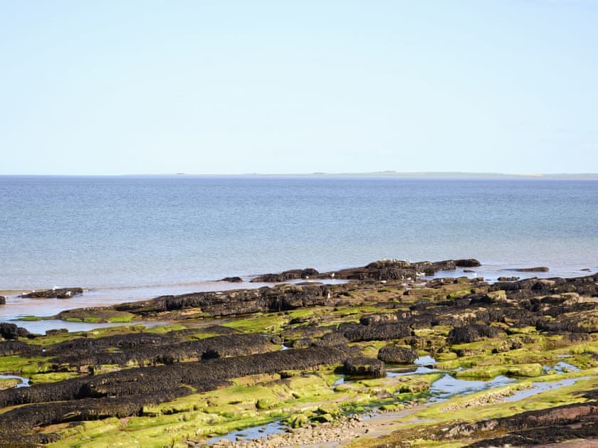 Rugged shoreline nearby | Oystercatcher, Embo, near Dornoch