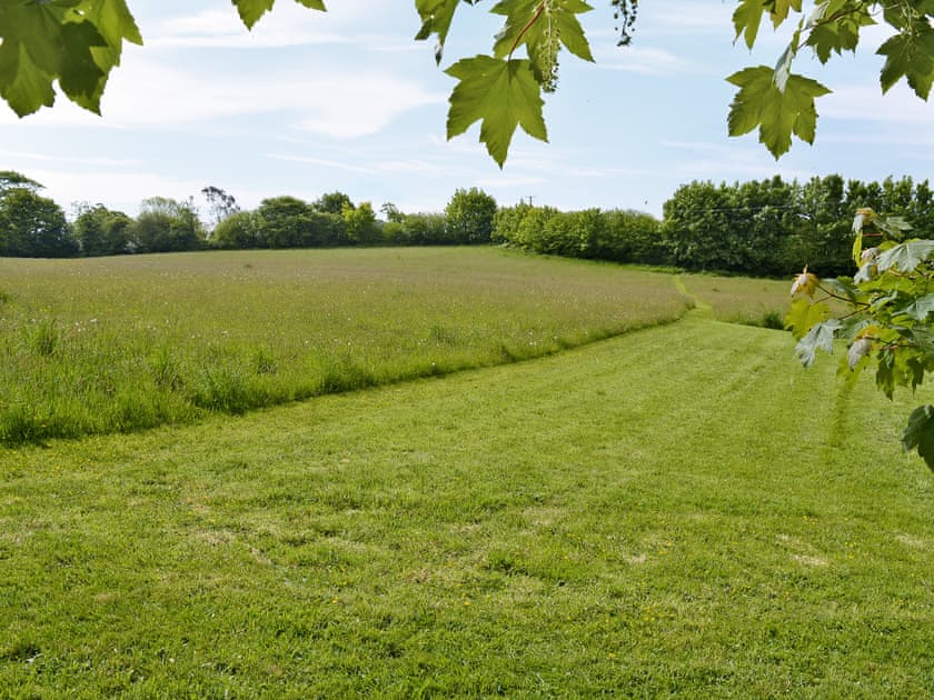 Lovely surrounding area | Stowford Linhay, Stowford, Lewdown