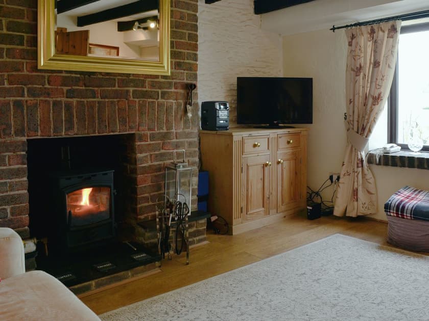 Living room with cosy wood burner | Y Bwthyn Gwyn, Trisant, near Devil’s Bridge