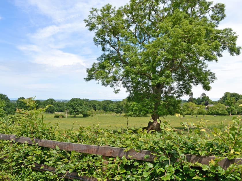 Beautiful surrounding countryside | Pheasant Cottage - Lakerigg, Dalston, near Carlisle