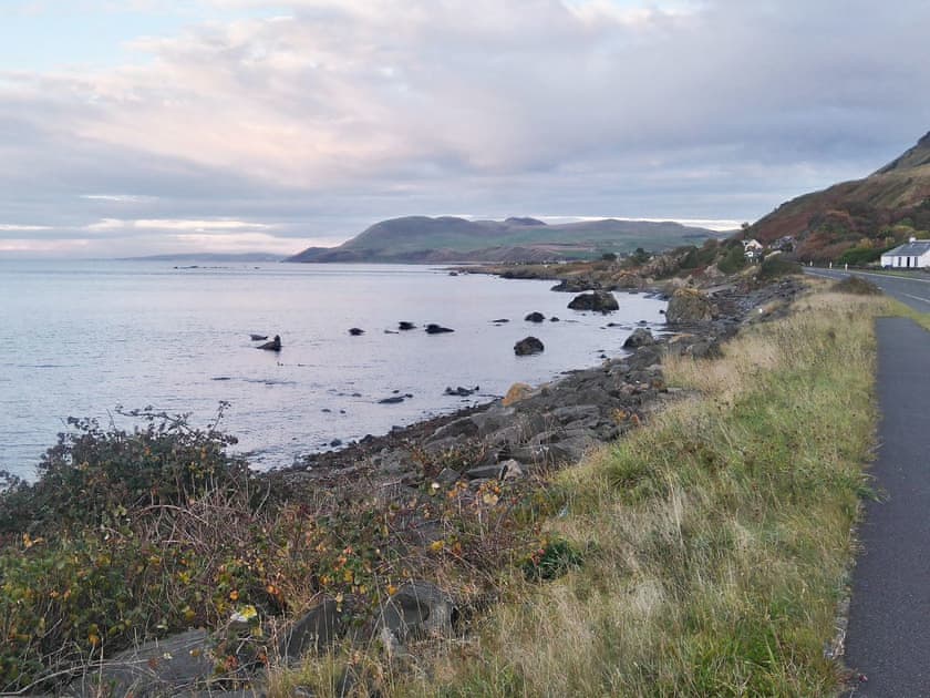 Seals basking on Lendalfoot shore | Ingleside, Ballantrae, near Girvan
