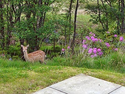 Moy, Achnamara, nr. Lochgilphead