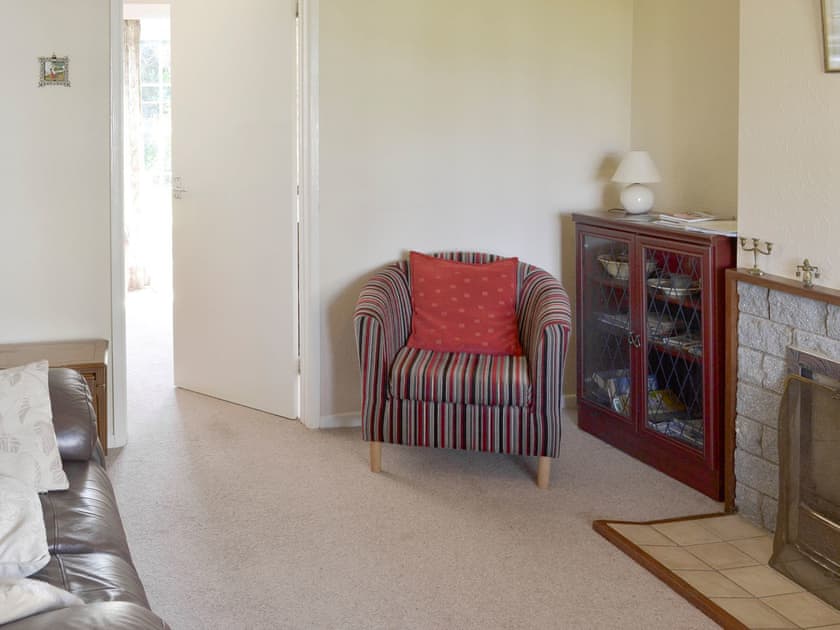 Comfy seating and feature fireplace in living room | Dene Corner, Chillington