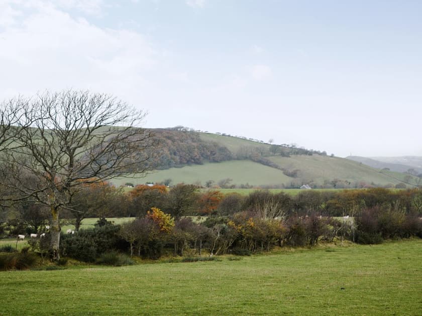 View | Bryncrwn Cottage, Llanfarian, Aberystwyth