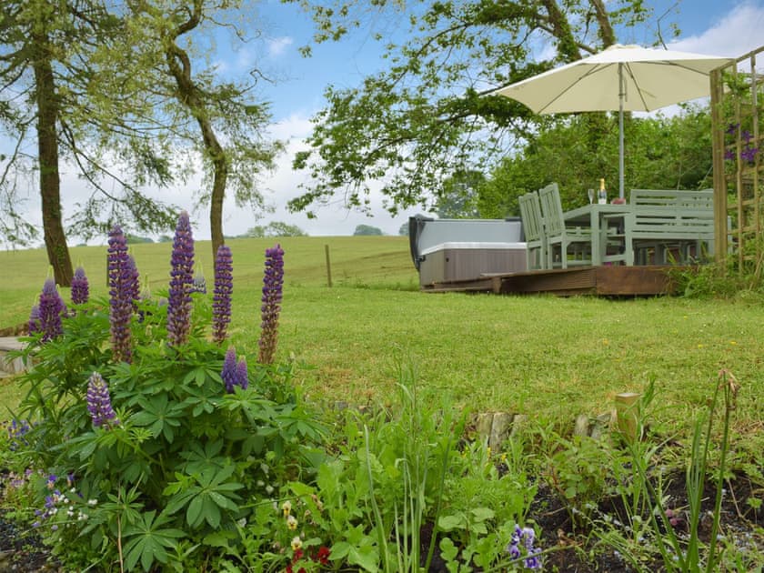 Attravice garden area | Tan Y Castell, Llanmill, near Narberth
