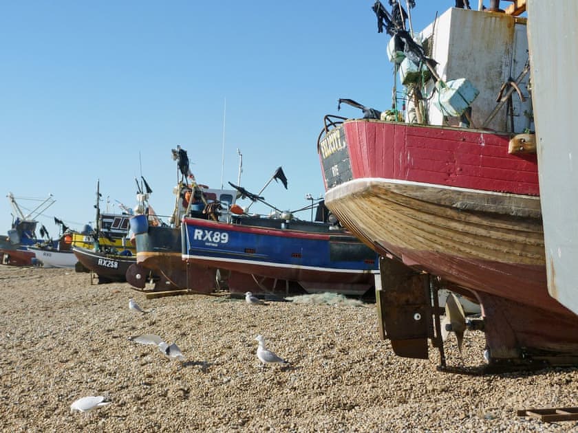 Surrounding area | Mouse House, Hastings