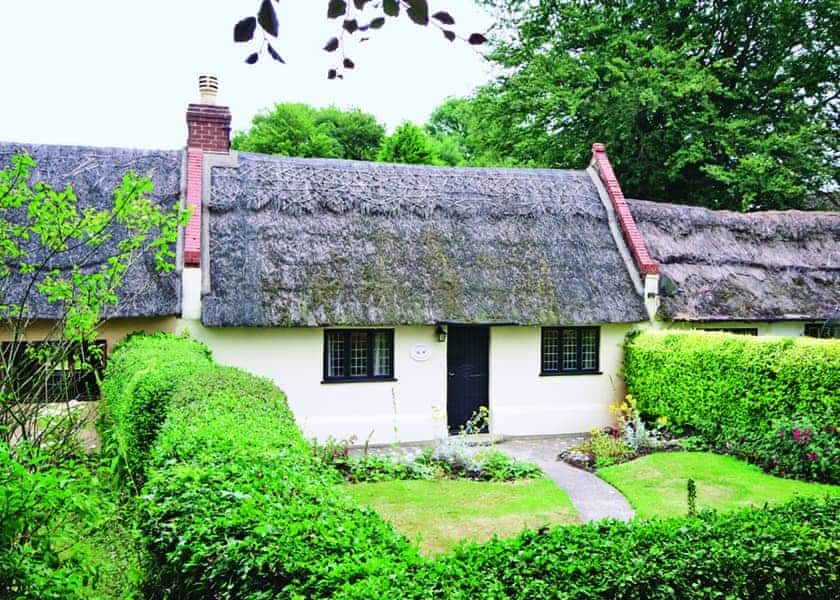 Violet Cottage