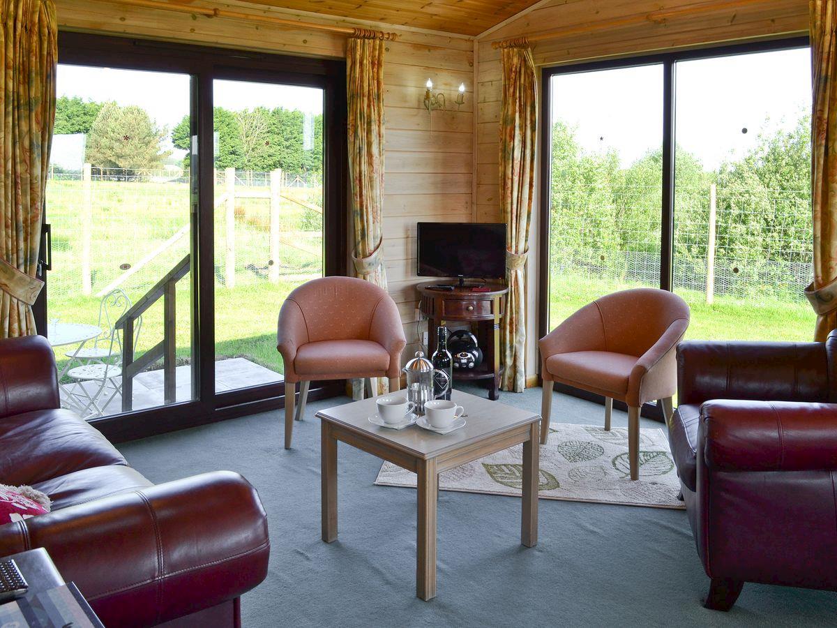 Lodge 46 - Holiday lodge in South West England - Image 2