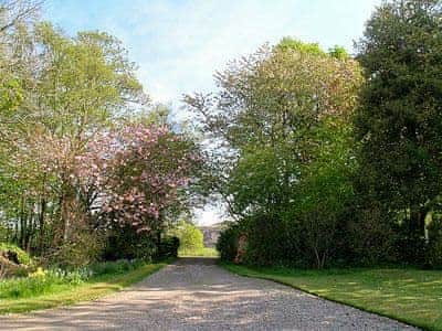 Garden and grounds | The Factor’s House, Kilmartin Glen, nr. Lochgilphead