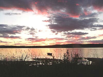 Surrounding area | Moy, Achnamara, nr. Lochgilphead