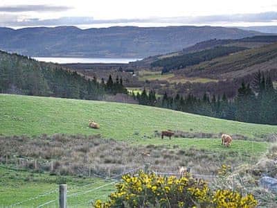 Loch Ness | Dalreach, Drumnadrochit