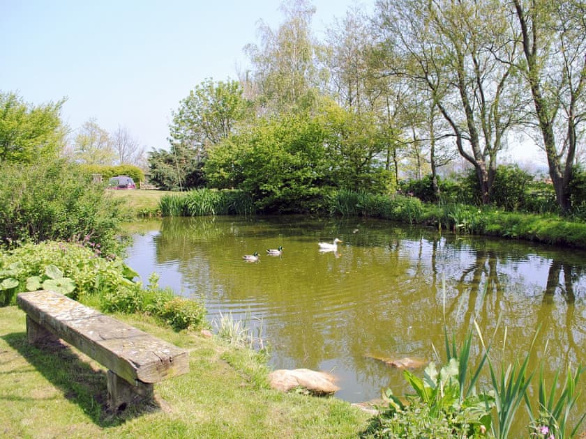 Pond | Red House Farm Cottages - The Old Sheaf Store, Glaisdale, nr. Whitby