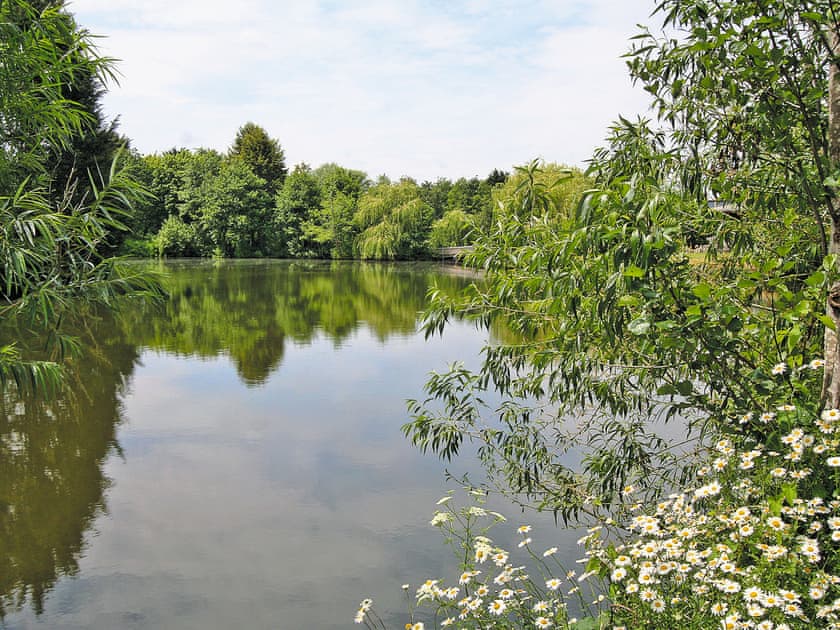 Fishing Lake | Ladybird Cottage, Bridgwater