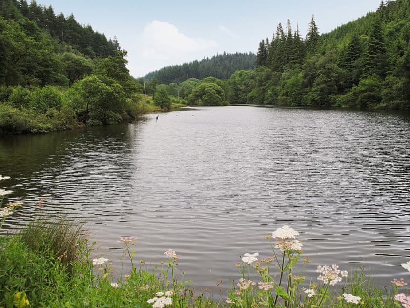 Dalby forest | Bickley School - Bickley School Annexe, Bickley, nr. Langdale End