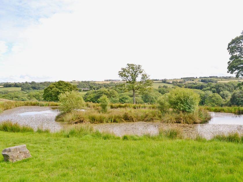 Surrounding area | Ffynnonmeredydd Cottages - The Stable, Mydroilyn, nr. Aberaeron 