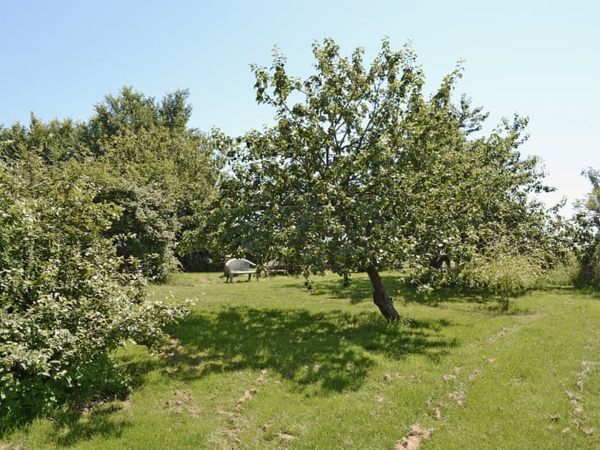 Orchard | High House Cottage, Hooe, nr. Battle