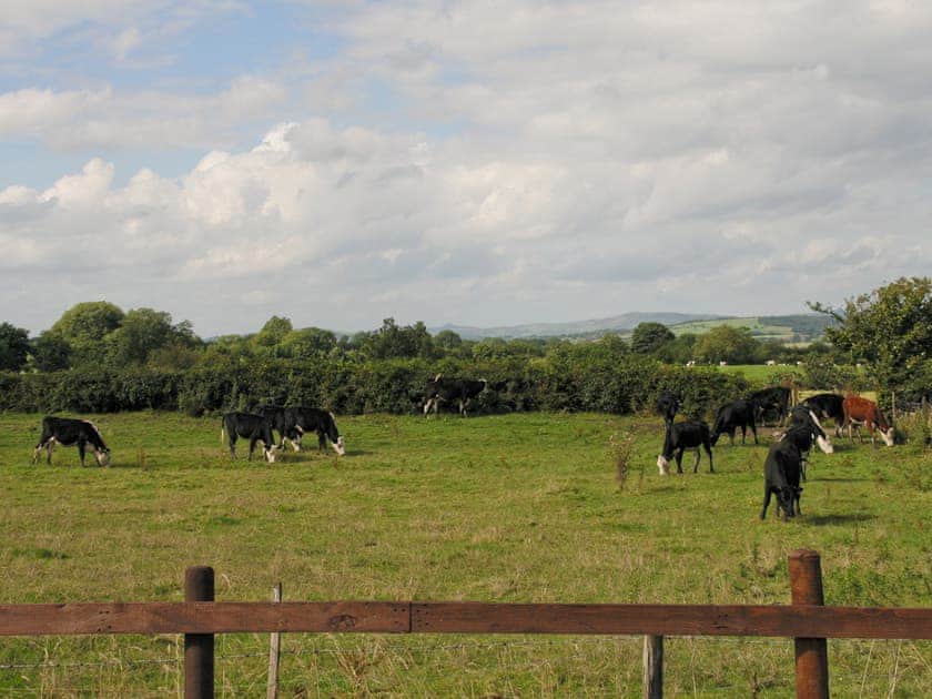 Surrounding area | Tomfields Cottage, Kingsley Moor