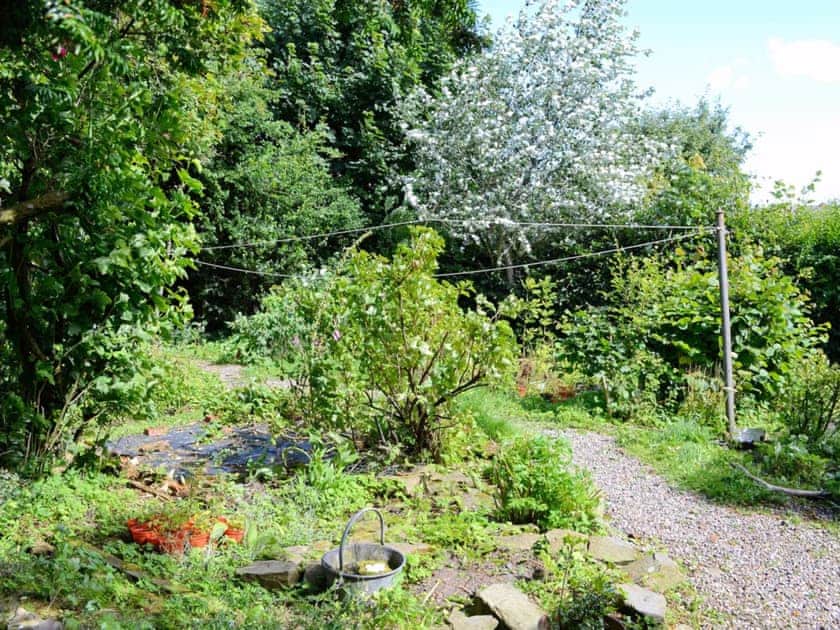 Natural garden | The Cottage, St. Cyrus, Montrose