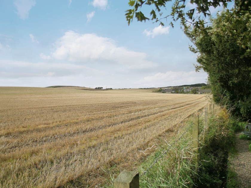 Surrounding area | The Cottage, St. Cyrus, Montrose
